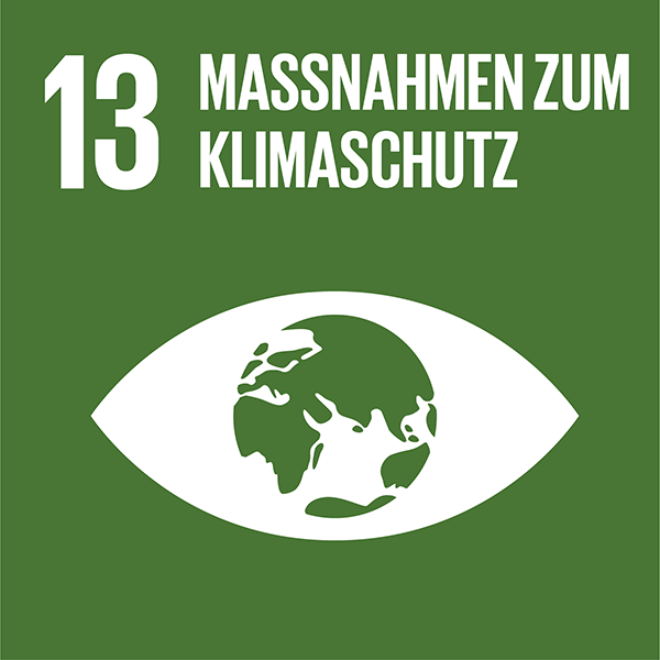 SDG13